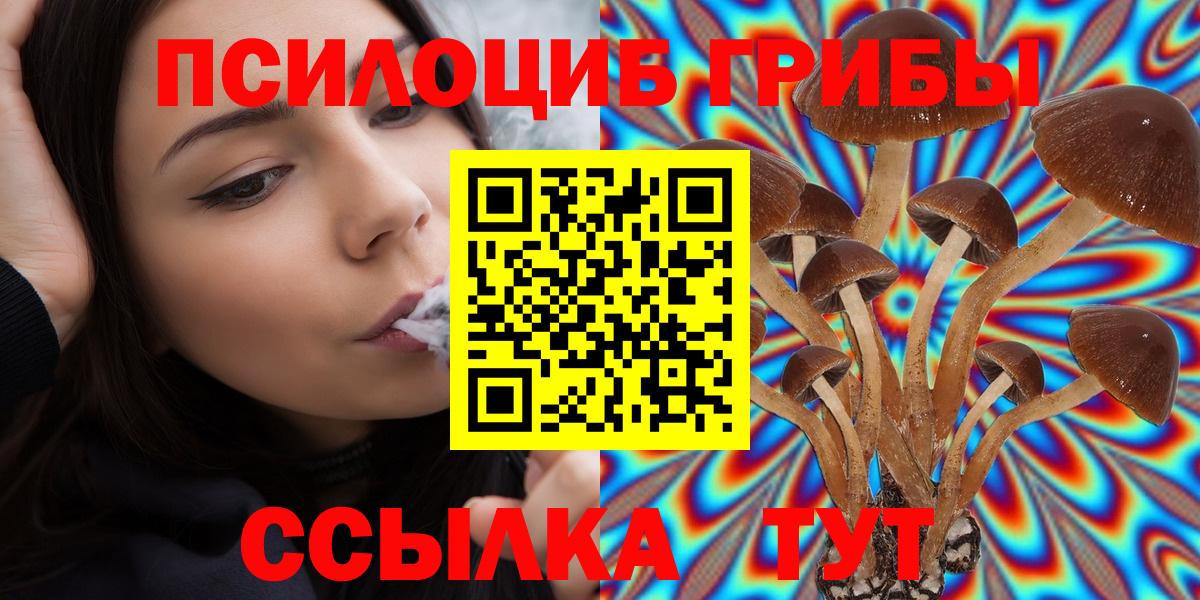 Псилоцибиновые грибы Cubensis Радужный
