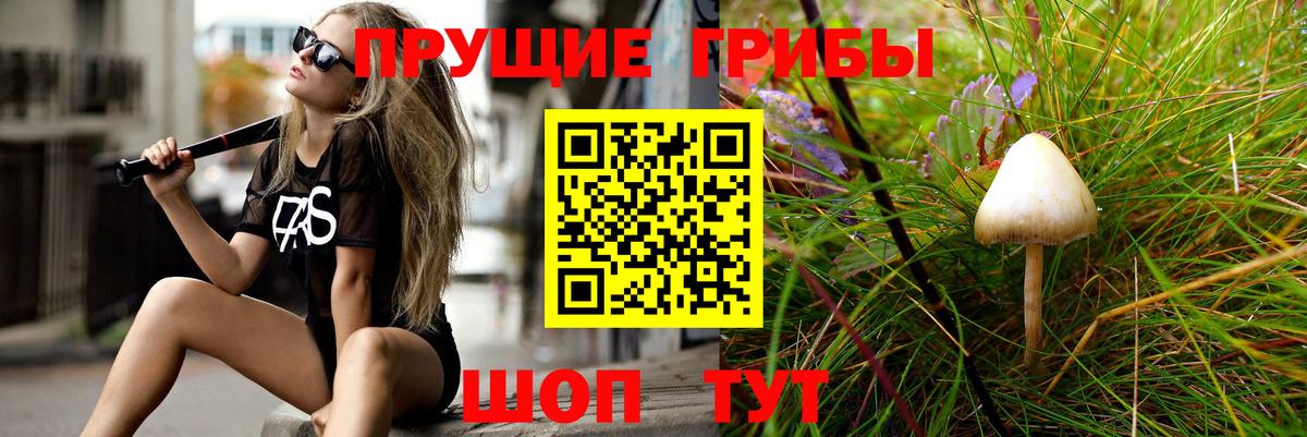 Псилоцибиновые грибы прущие грибы  Вход с VPN  Галлюциногенные грибы Psilocybine cubensis  Радужный 